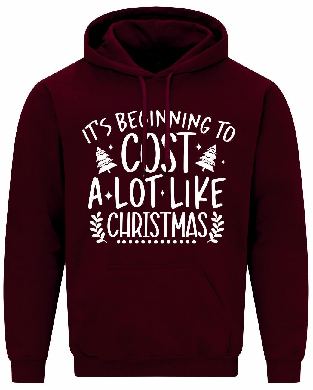 Beginning To Cost Like Christmas Unisex Hoodie