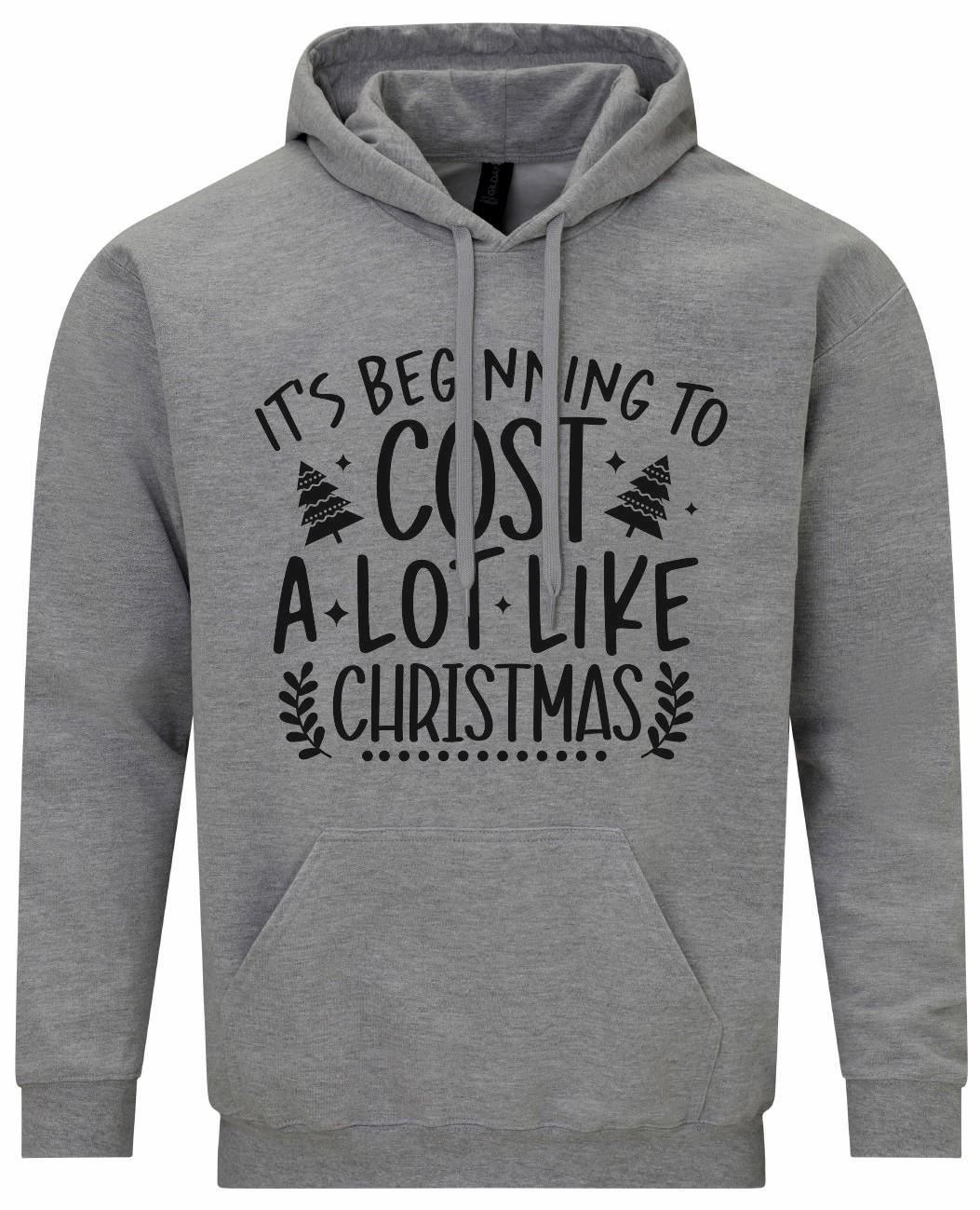 Beginning To Cost Like Christmas Unisex Hoodie