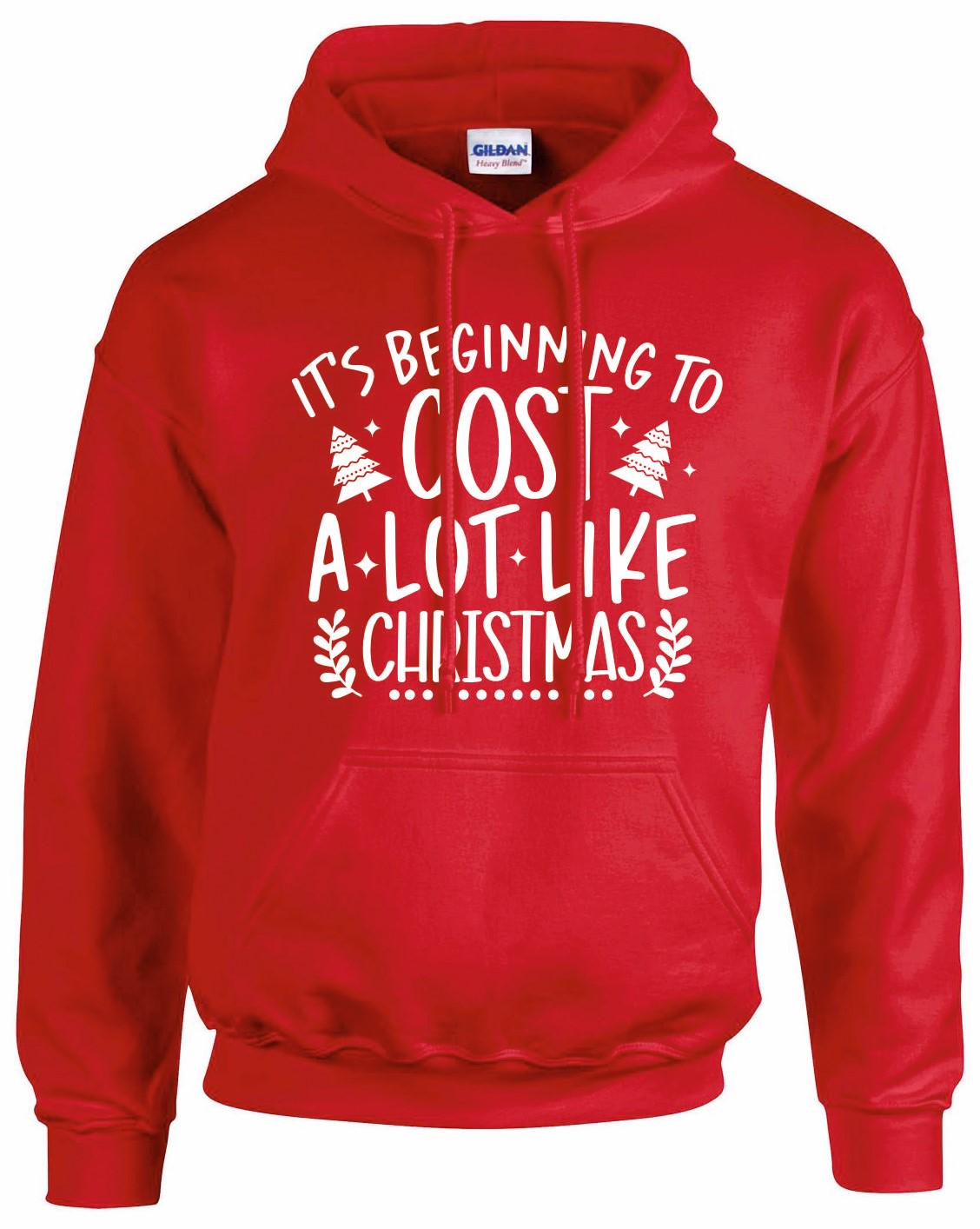 Beginning To Cost Like Christmas Unisex Hoodie