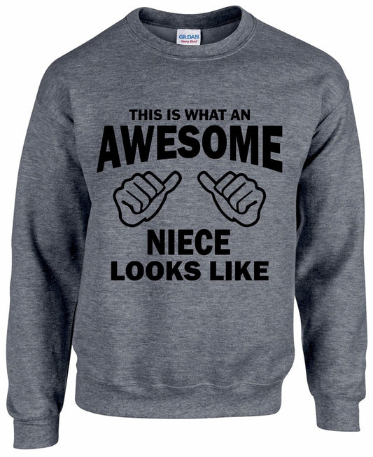 Awesome Niece Sweatshirt