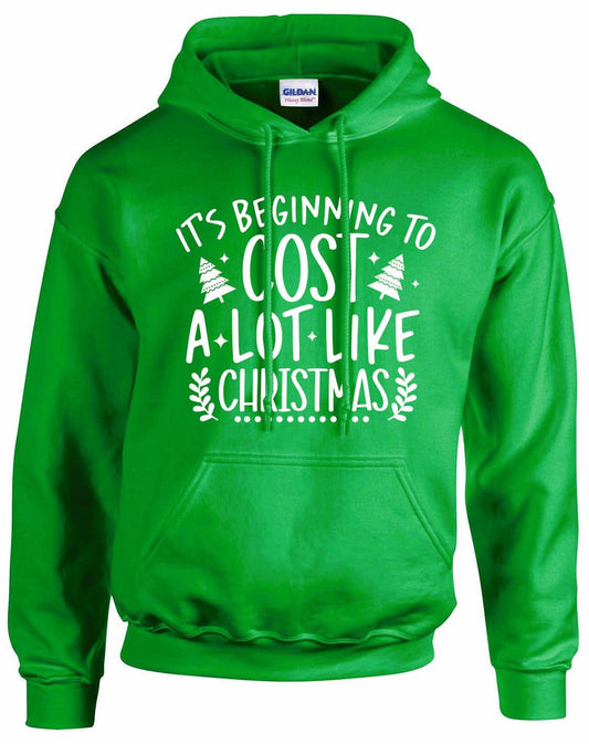 Beginning To Cost Like Christmas Unisex Hoodie